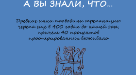 «Голова — предмет тёмный…»