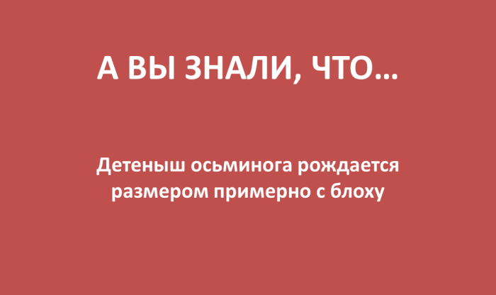 Как его находят родители?