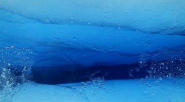 На дне Балтийского моря обнаружен древний лес