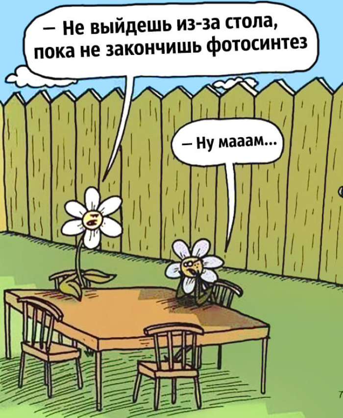 С мамой не поспоришь