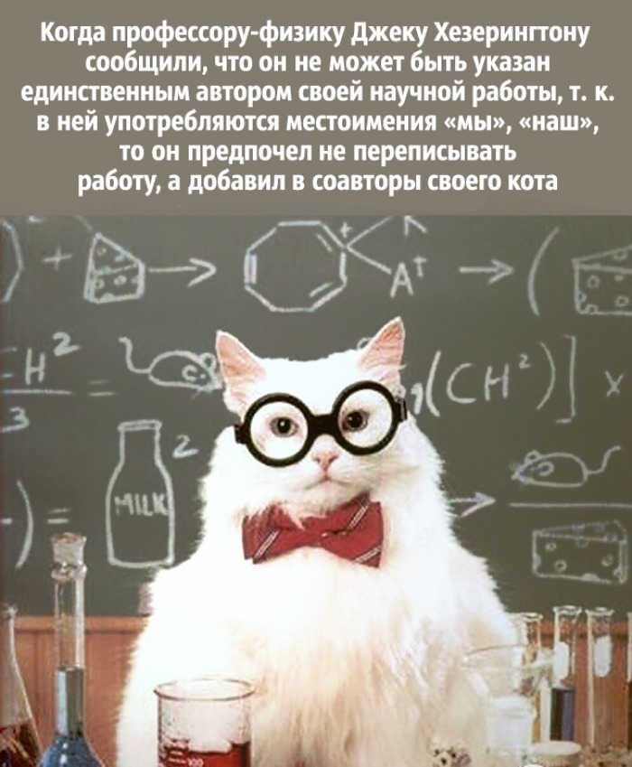 Без кота и наука не та