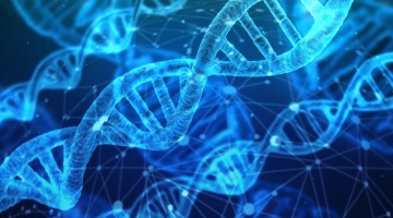 В современной ДНК нашли следы двух неизвестных науке человеческих видов