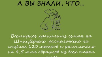 А вы знали?