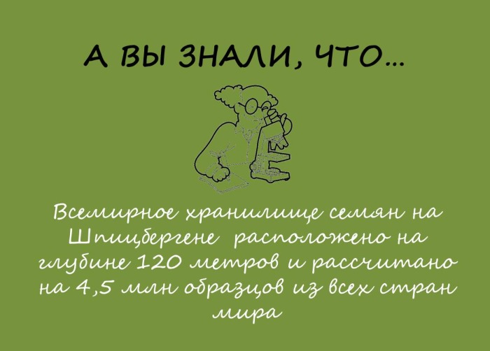 А вы знали?