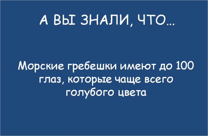 А если бы им носить очки?