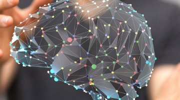 Как устроены искусственные нейросети?